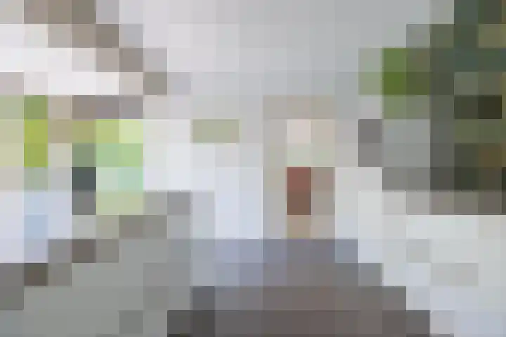 Logterberge 16 Gennep thumbnail 23