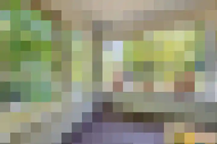 Logterberge 16 Gennep thumbnail 30