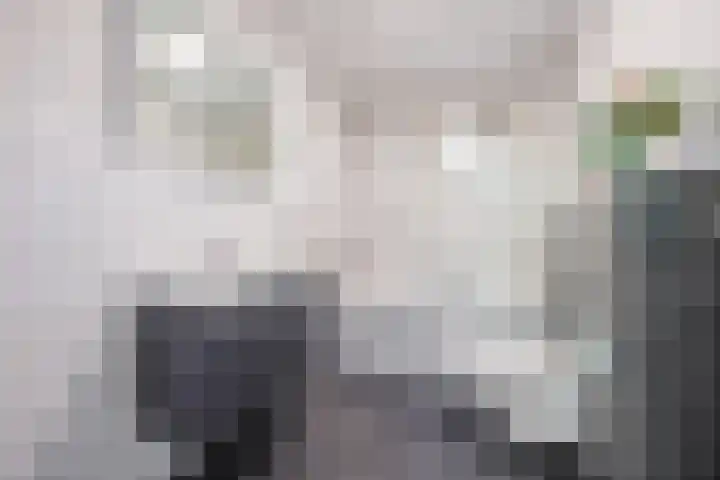 Logterberge 16 Gennep thumbnail 39