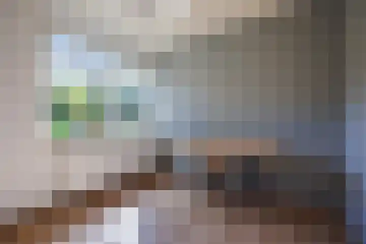 Logterberge 16 Gennep thumbnail 42