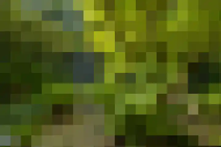 Logterberge 16 Gennep thumbnail 57