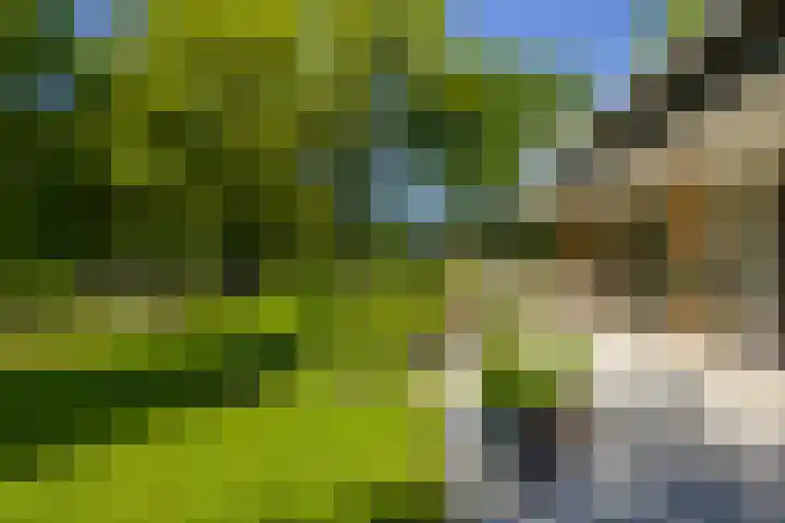 Logterberge 16 Gennep thumbnail 59