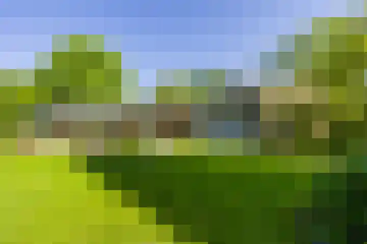 Logterberge 16 Gennep thumbnail 60