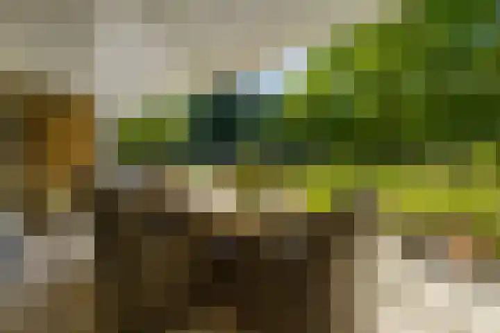 Logterberge 16 Gennep thumbnail 67