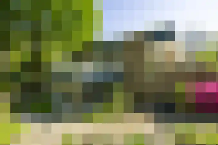 Logterberge 16 Gennep thumbnail 71