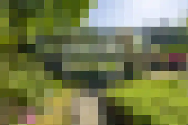 Logterberge 16 Gennep thumbnail 72