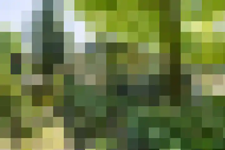 Logterberge 16 Gennep thumbnail 74