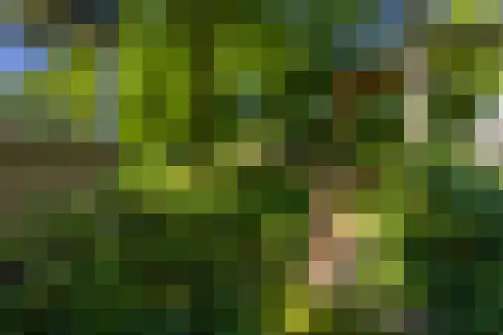 Logterberge 16 Gennep thumbnail 76