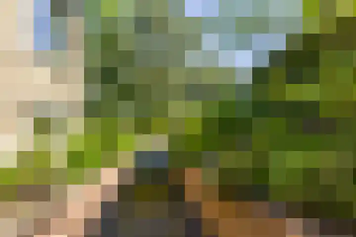 Logterberge 16 Gennep thumbnail 77