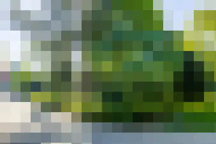 Logterberge 16 Gennep thumbnail 82