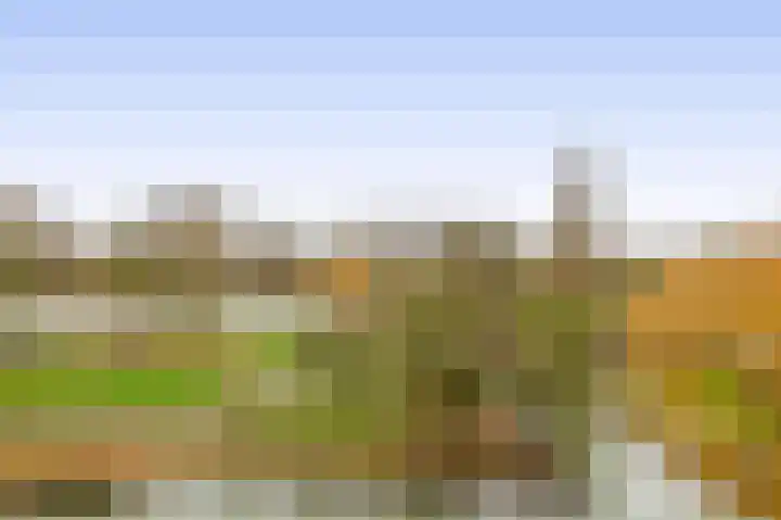 Lohmanpark 84 Ridderkerk thumbnail 33