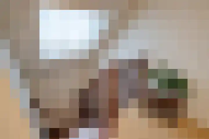 Lohuizerweg 3 Epe thumbnail 24