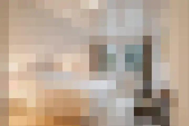 Lohuizerweg 3 Epe thumbnail 25