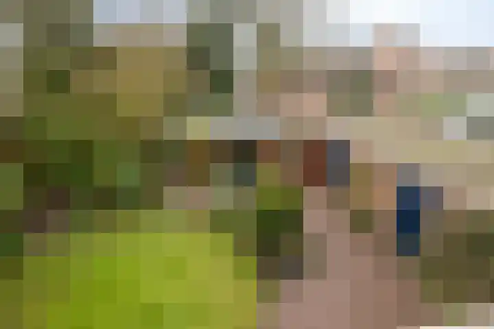 Lohuizerweg 3 Epe thumbnail 28