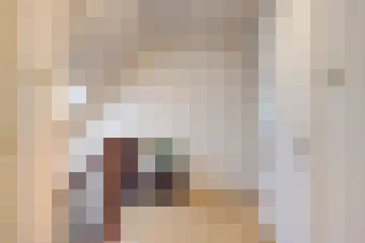 Lohuizerweg 3 Epe thumbnail 37