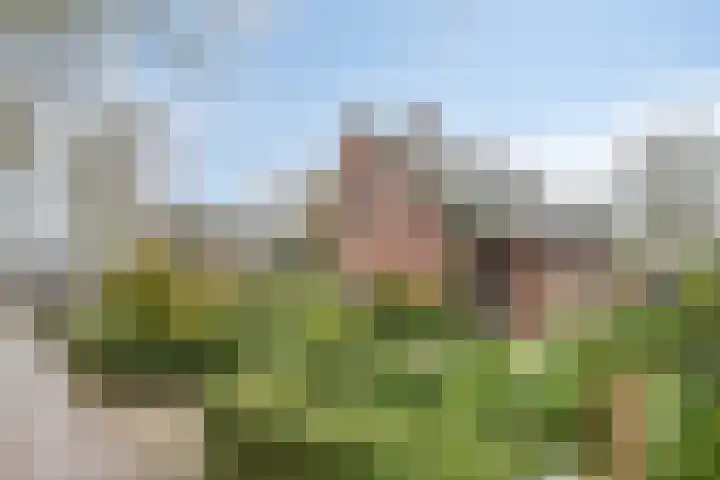 Lohuizerweg 3 Epe thumbnail 38