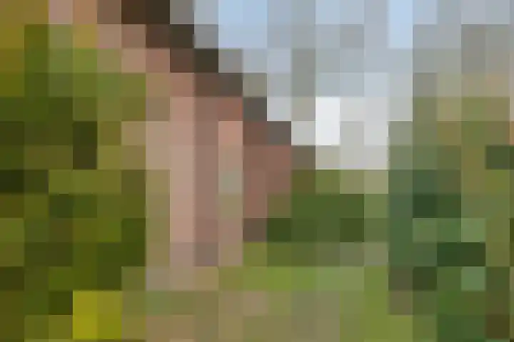 Lohuizerweg 3 Epe thumbnail 45