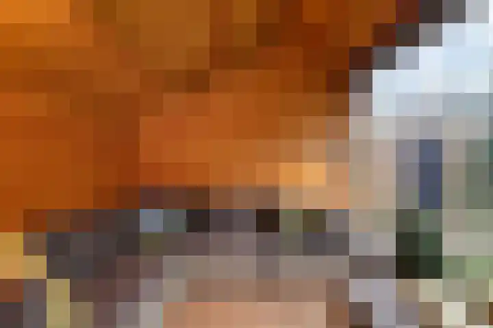 Lohuizerweg 3 Epe thumbnail 52