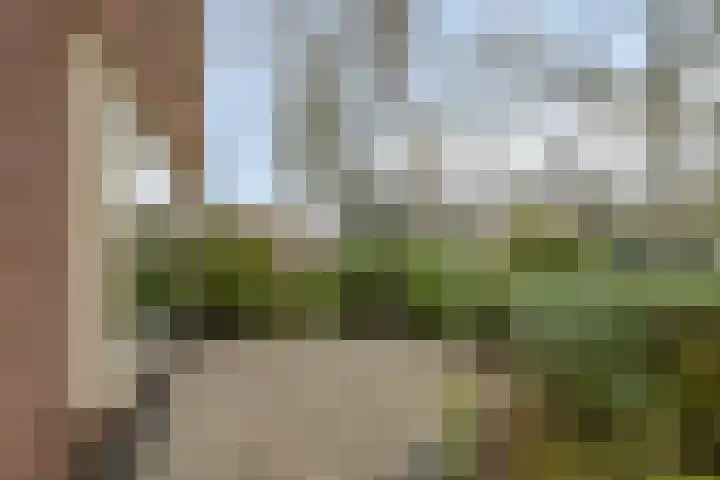 Lohuizerweg 3 Epe thumbnail 56