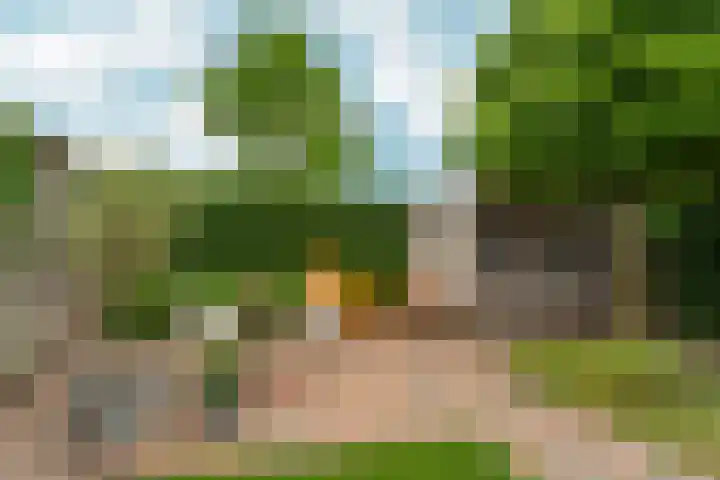 Lokaalspoor 51 Arnhem thumbnail 40