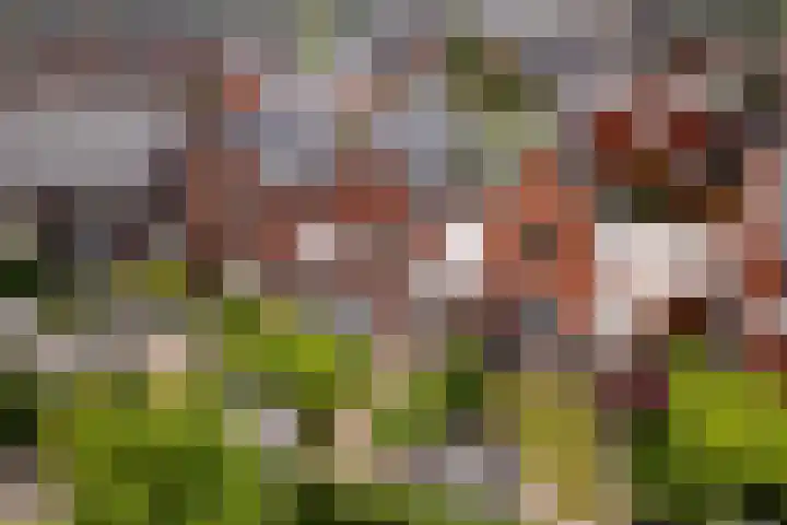 Lokaalspoor 51 Arnhem thumbnail 41