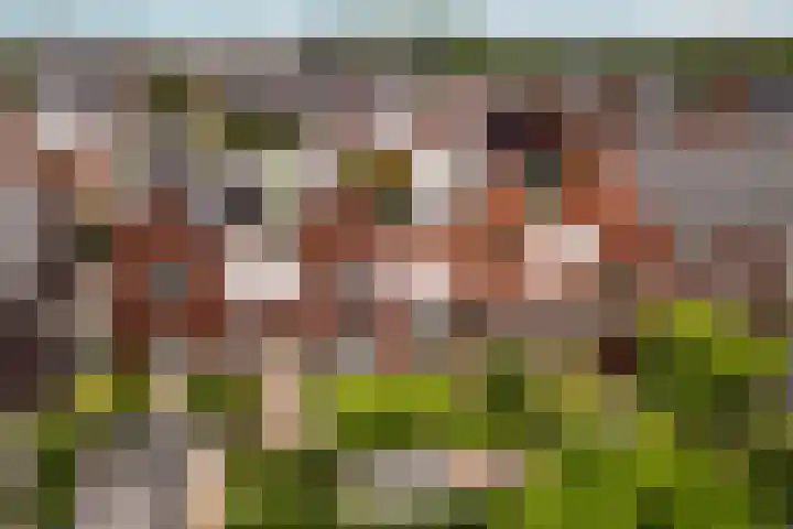 Lokaalspoor 51 Arnhem thumbnail 42