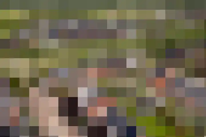 Lokaalspoor 51 Arnhem thumbnail 47