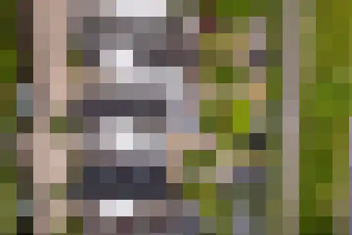 Lokaalspoor 51 Arnhem thumbnail 51