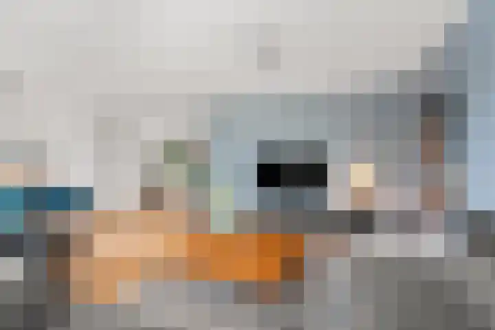 Lokaalspoor 51 Arnhem thumbnail 7