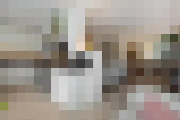 Lokeren 155 's-Hertogenbosch thumbnail 14