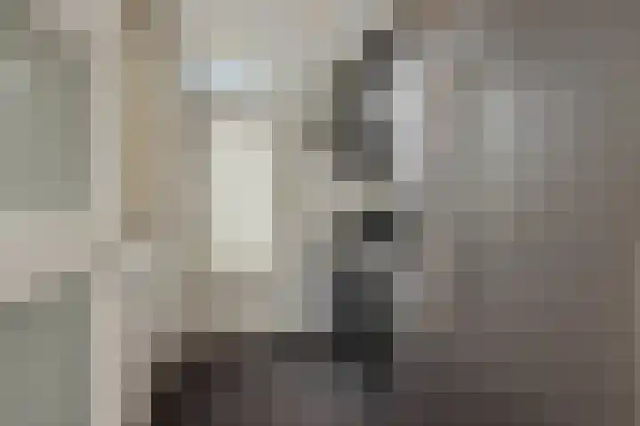Lokeren 155 's-Hertogenbosch thumbnail 15