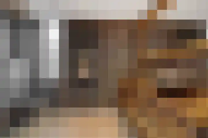 Lokeren 155 's-Hertogenbosch thumbnail 21