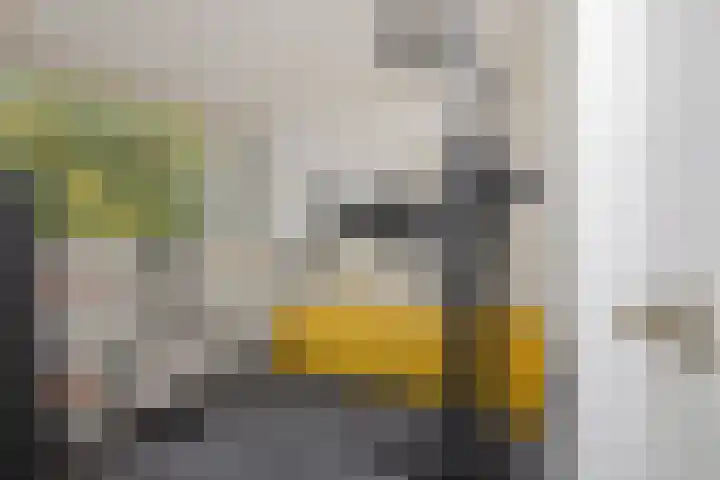 Lokeren 155 's-Hertogenbosch thumbnail 26