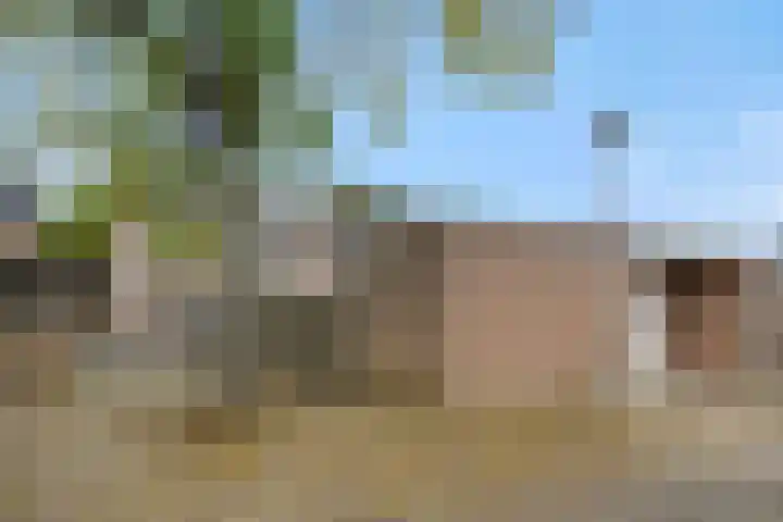 Lokeren 155 's-Hertogenbosch thumbnail 29