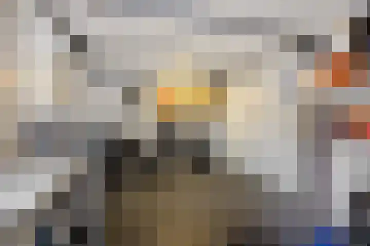 Lokeren 155 's-Hertogenbosch thumbnail 30