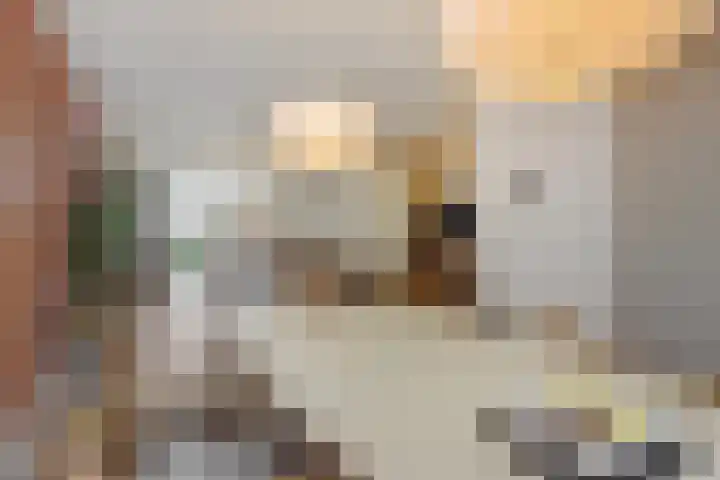 Lokeren 155 's-Hertogenbosch thumbnail 9
