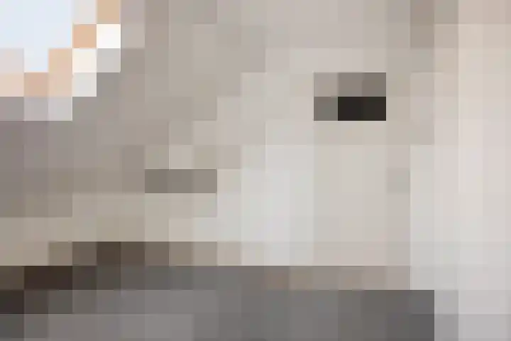 Lokerenstraat 3 Breda thumbnail 23