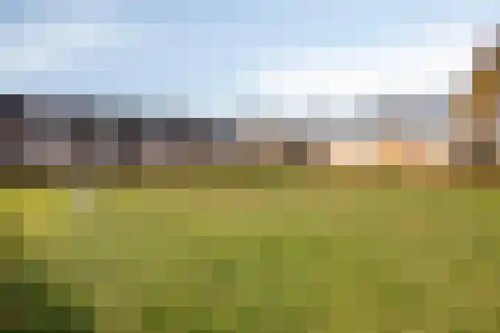 Lokerenstraat 3 Breda thumbnail 33
