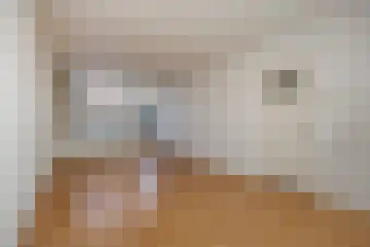 Lokerenstraat 3 Breda thumbnail 9