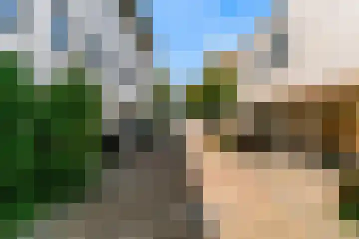 Lokerenstraat 4 Amsterdam thumbnail 24