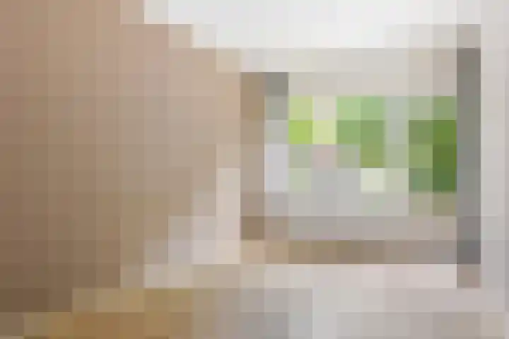 Lokhorst 10 Leiderdorp thumbnail 12