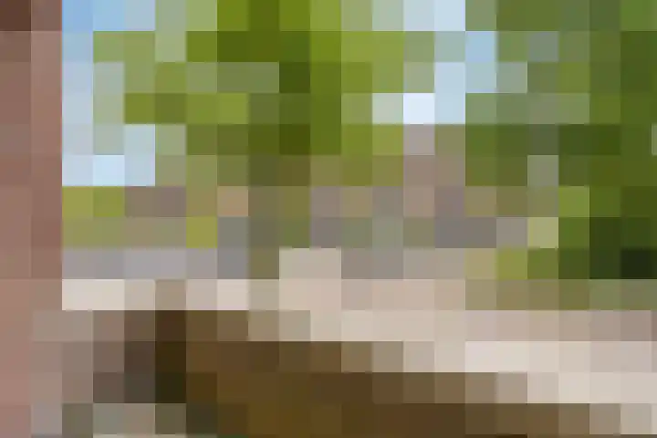 Lokhorst 10 Leiderdorp thumbnail 14