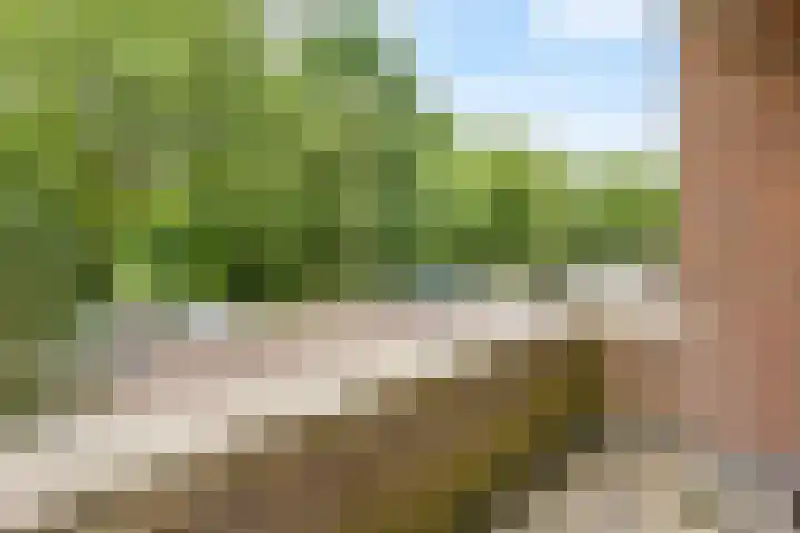 Lokhorst 10 Leiderdorp thumbnail 15