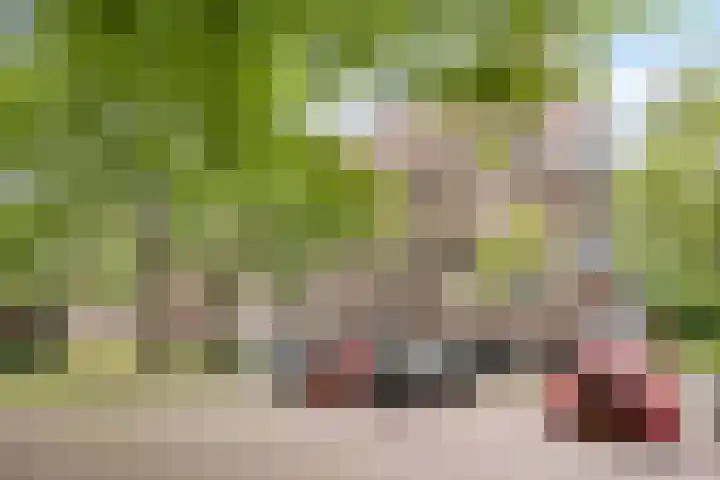 Lokhorst 10 Leiderdorp thumbnail 29