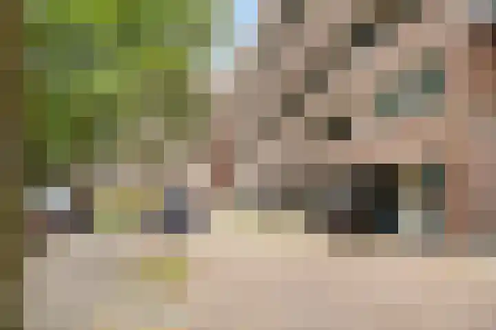 Lokhorst 10 Leiderdorp thumbnail 31