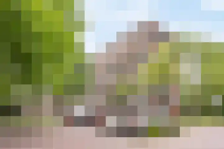 Lokhorst 10 Leiderdorp thumbnail 36