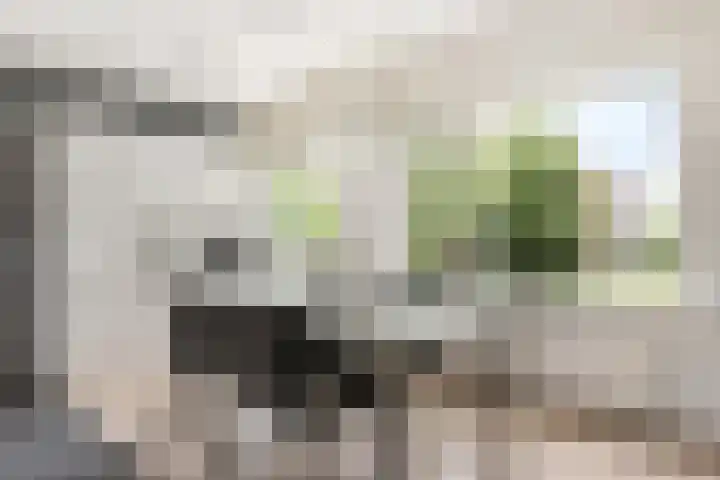 Lokhorst 10 Leiderdorp thumbnail 8