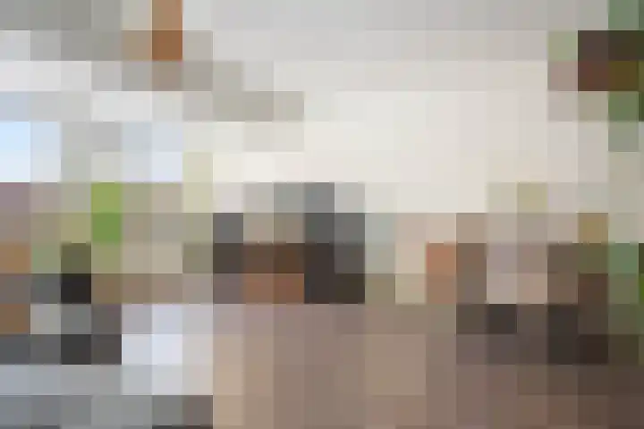 Lokhorst 131 Leiderdorp thumbnail 10