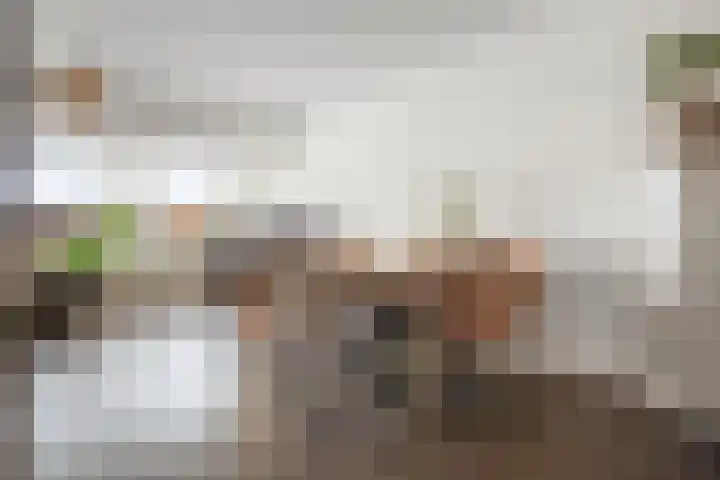 Lokhorst 131 Leiderdorp thumbnail 13