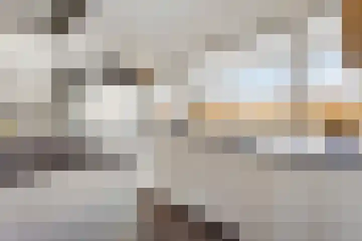 Lokhorst 131 Leiderdorp thumbnail 15